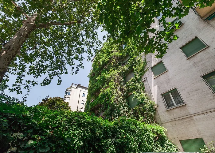Majno apartment